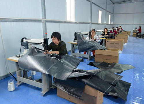 河津市僧樓鎮張家堡村村民在新建的噸包廠加工編織袋