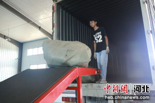 河北高碑店箱包產(chǎn)業(yè)年銷售額超30億元