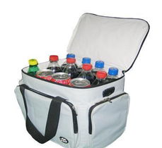 便攜冰包全方位指南 供應渠道、價格、廠家及選購要點